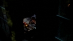 Angel408_002.jpg
