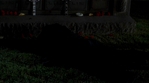 Angel506_478.jpg
