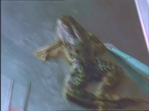 theWitch433.jpg