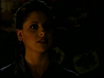 Angel_536.jpg