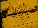 puppetshow498.jpg