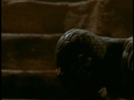 ReptileBoy355.jpg