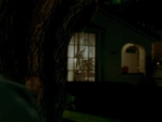 Halloween_317.jpg