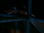 LieToMe_006.jpg