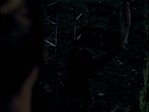 LieToMe_032.jpg