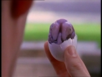 badeggs_202.jpg