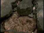 badeggs_266.jpg