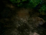 BecomingI_502.jpg