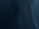 Concequenses010.jpg