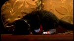 buffy422_030.jpg