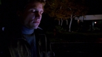intothewoods_454.jpg