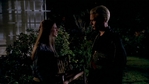 BloodTies181.jpg