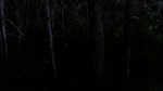 BargainingII_043.jpg