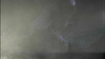 smashed_755.jpg