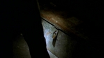Buffy720_784.jpg