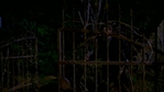 Chosen084.jpg