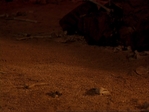 Charmed422_187.jpg