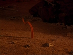 Charmed422_247.jpg