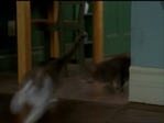 Charmed518_022.jpg