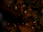 Charmed519_004.jpg