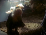 Charmed520_150.jpg