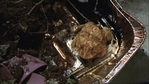 dlm102__358.jpg