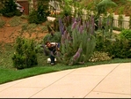 themodelhome_210.jpg