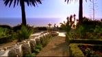 theoc224_032.jpg