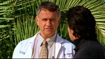 theoc224_034.jpg