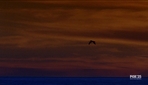 OC316_280.jpg