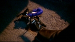 smallville210_479.jpg