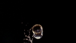 smallville319_211.jpg