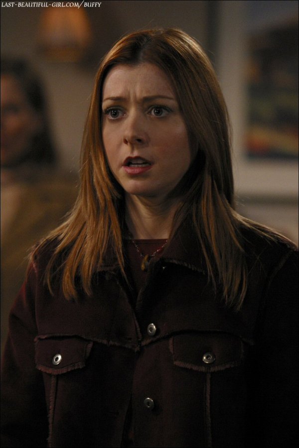 s7 Willow b7x13 02-XL